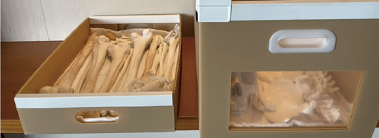 Matsushita-Style Human Remains Storage Dumpra Box